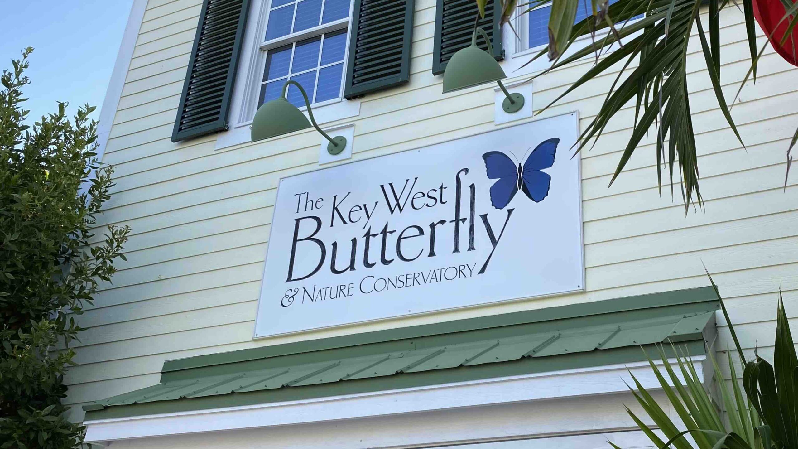 Key West Butterfly Conservatory on a Florida Keys Road Trip