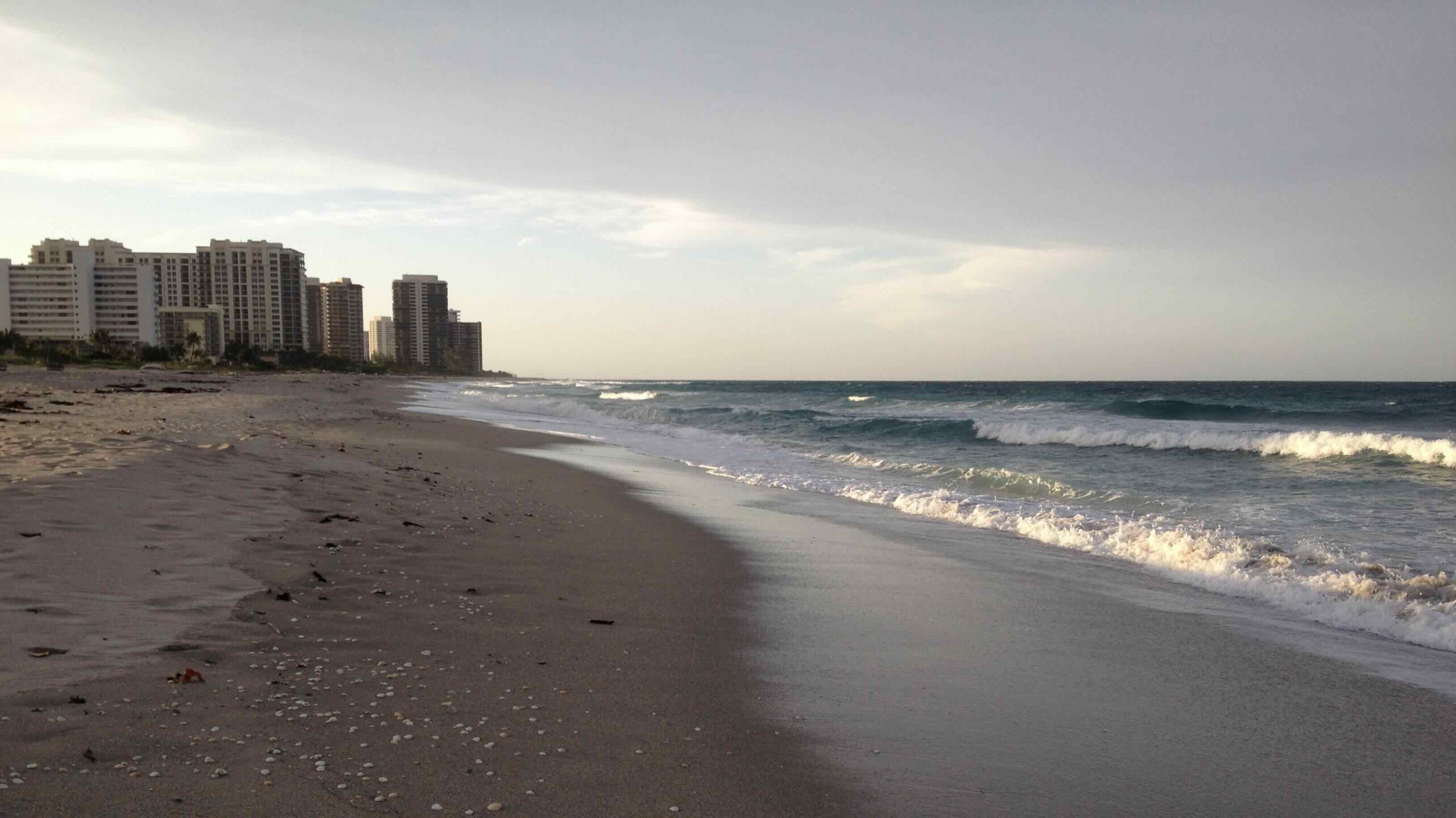 The beach near Palm Beach Marriott Singer Island Beach Resort & Spa photo by Bryan Dearsley