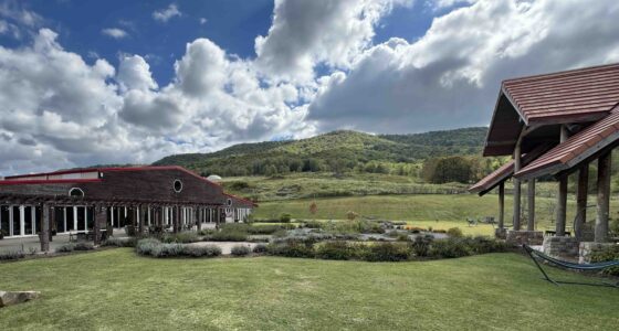 Eupepsia Wellness Resort grounds wiht hills in background
